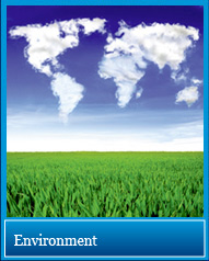Environmental Safety Assessments Environmental Safety Assessments